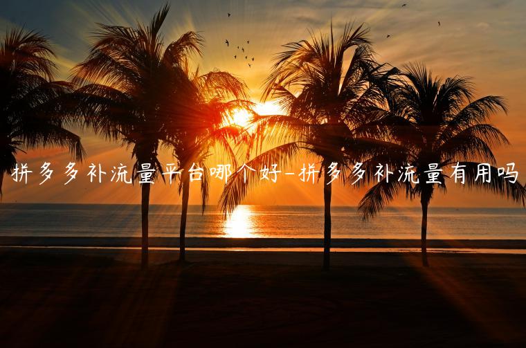 拼多多補(bǔ)流量平臺(tái)哪個(gè)好-拼多多補(bǔ)流量有用嗎